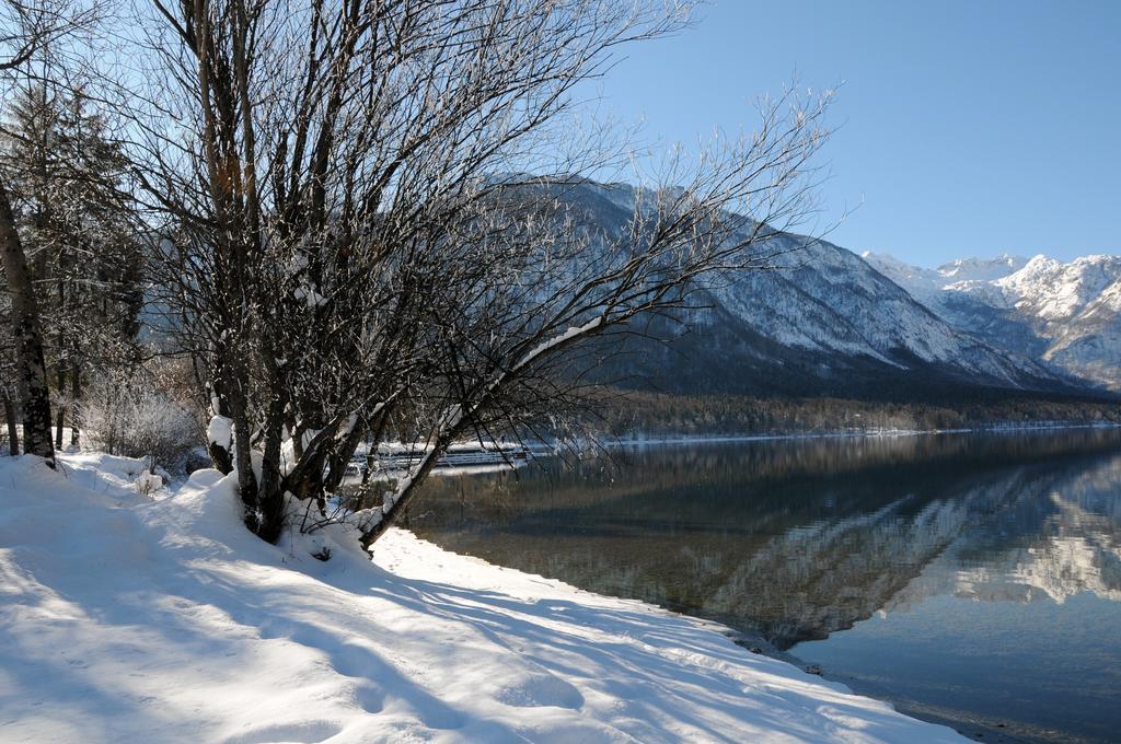 Apartment Dijak Bohinji-tó Kültér fotó