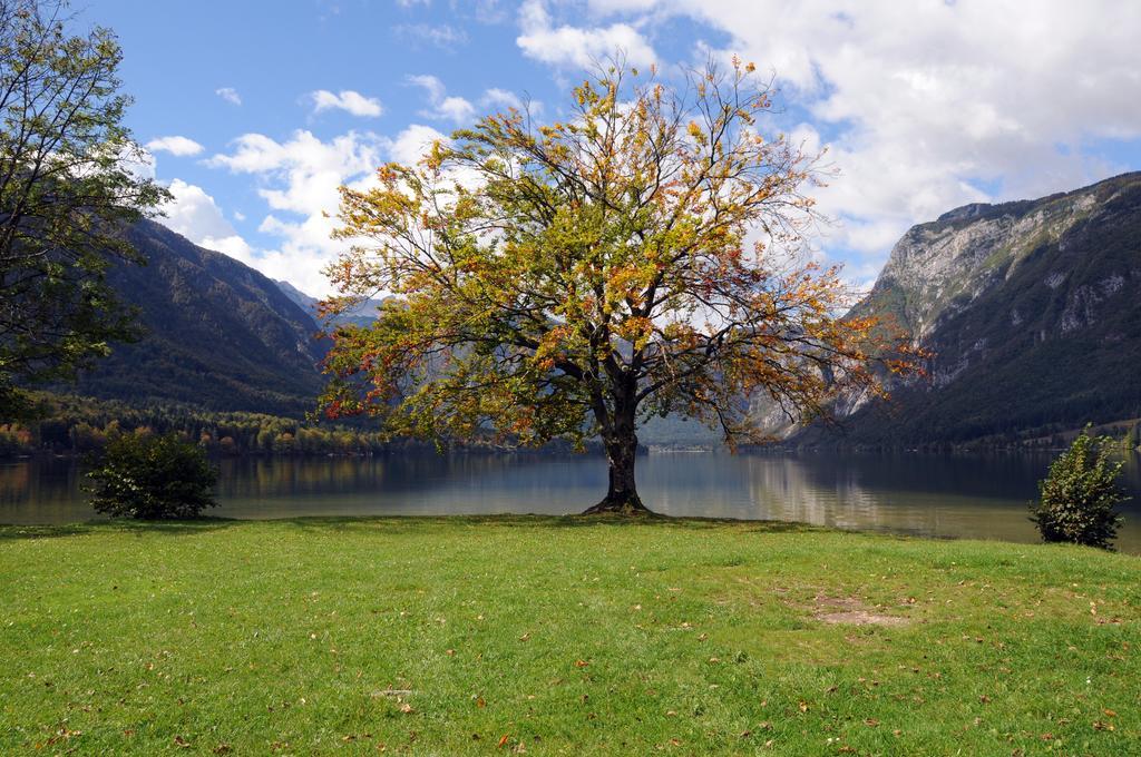 Apartment Dijak Bohinji-tó Kültér fotó