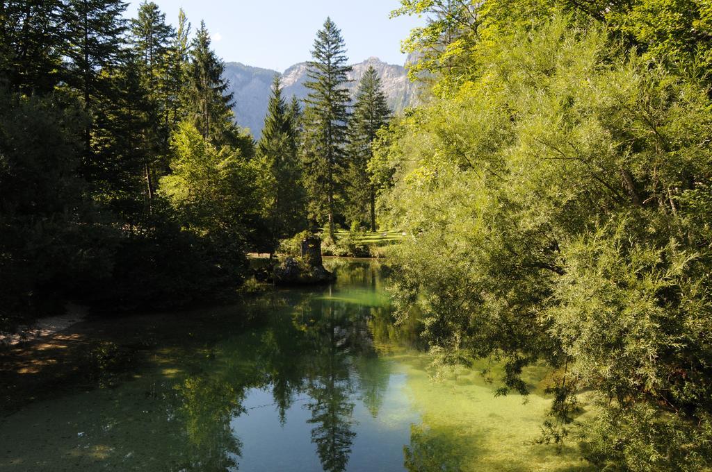 Apartment Dijak Bohinji-tó Kültér fotó