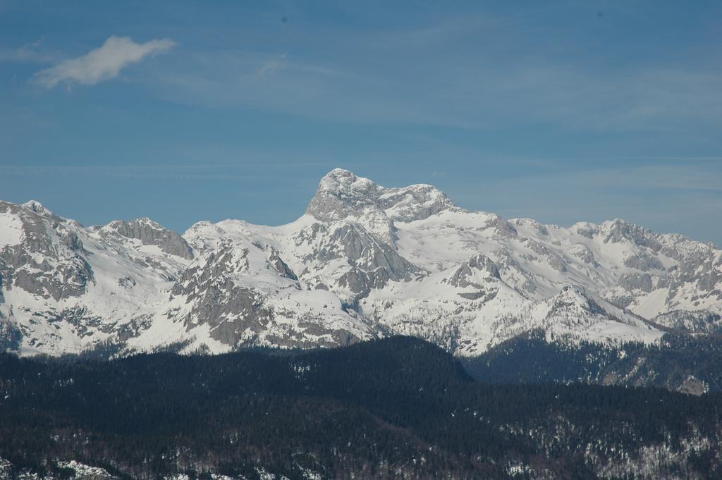 Apartment Dijak Bohinji-tó Kültér fotó