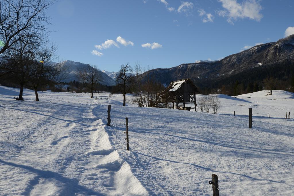 Apartment Dijak Bohinji-tó Kültér fotó