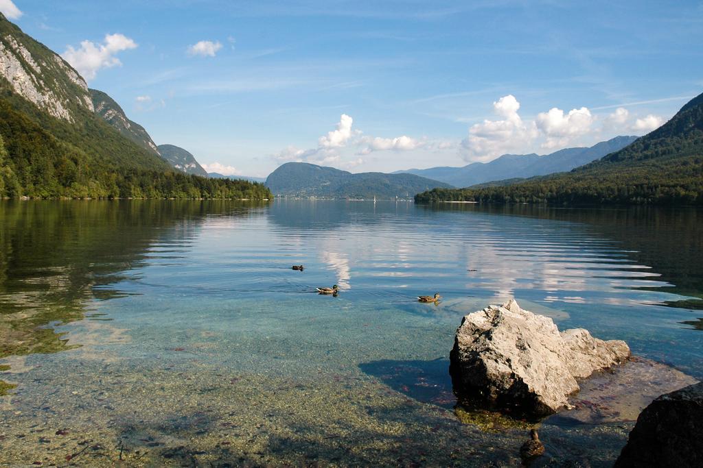 Apartment Dijak Bohinji-tó Kültér fotó