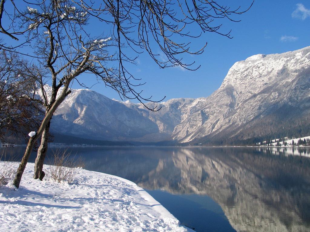 Apartment Dijak Bohinji-tó Kültér fotó